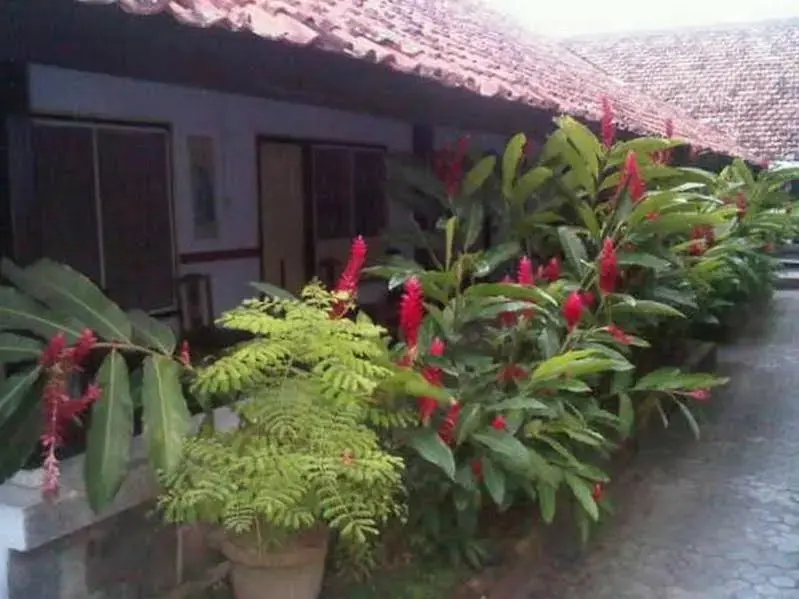 Матарам: 龙目岛旅游酒店(Hotel Wisata Lombok)