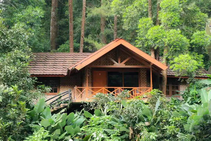 Сизаруа: Taman Safari Lodge