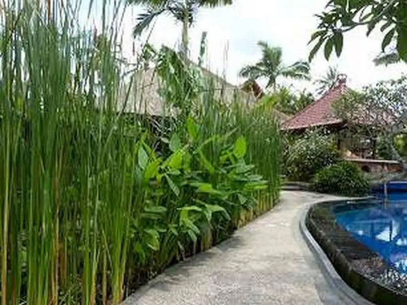Убуд: Siangan Bungalow