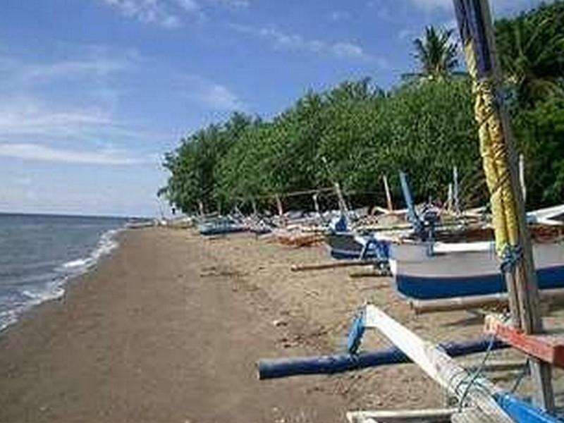 Темукус: Pondok Lovina Homestay & Villas