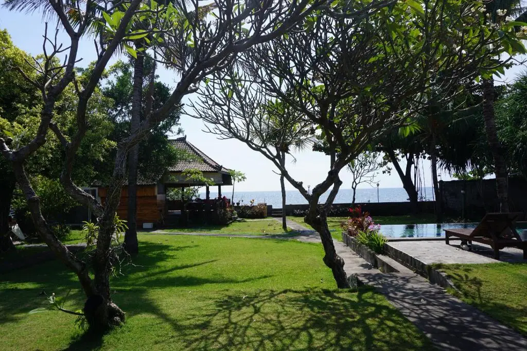 Темукус: Pondok Lovina Homestay & Villas