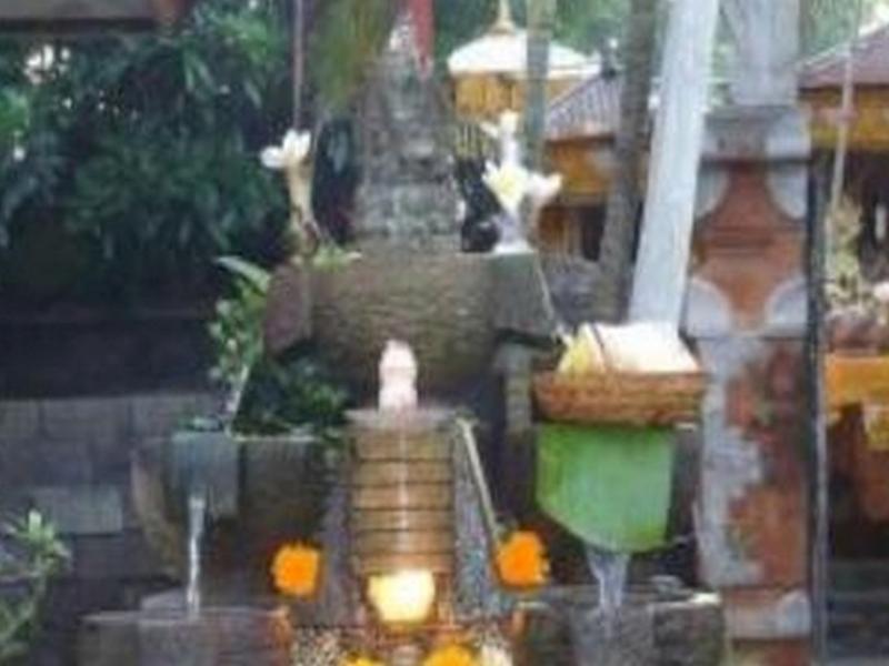 Педжаракан: Hide Homestay Menjangan