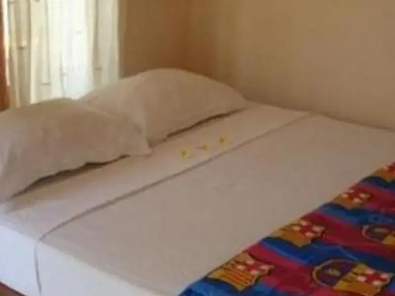 Педжаракан: Hide Homestay Menjangan