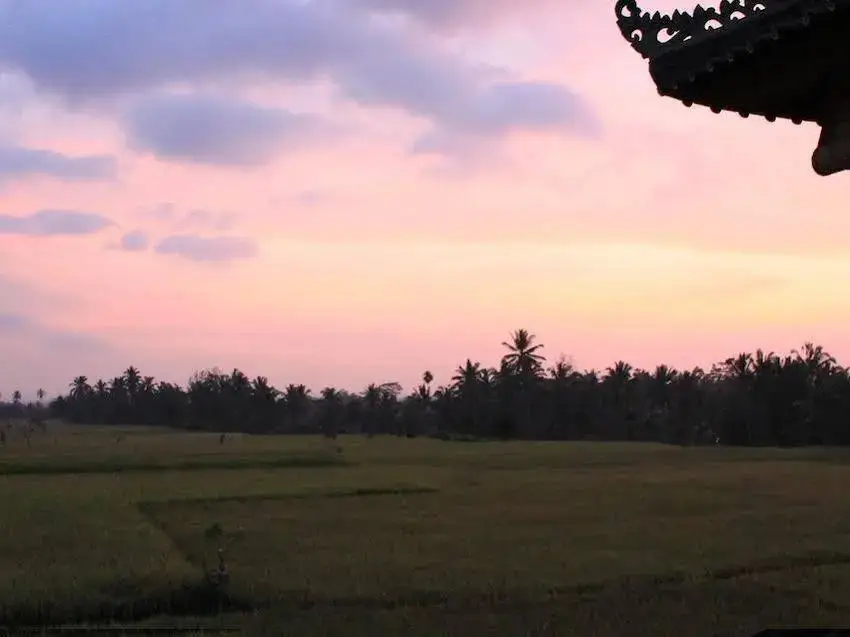 Убуд: Villa Mangku in Ricefield