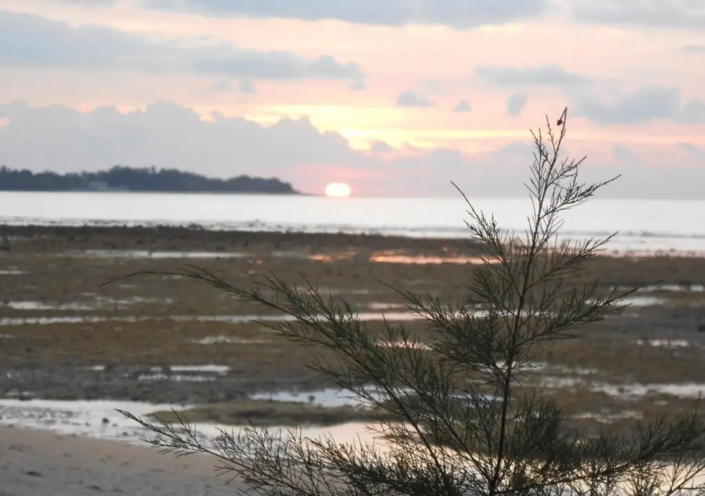 Гили Аир: Bintang Beach