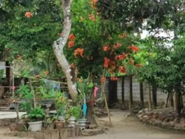 Матарам: Harwati Homestay
