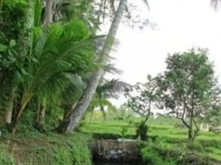 Матарам: Harwati Homestay