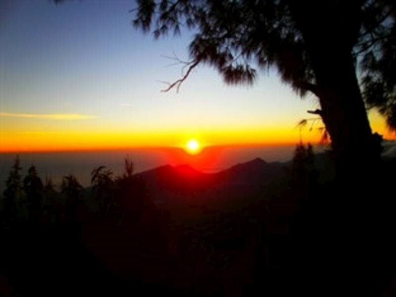 Сембалун Лаванг: Rinjani Family Hotel