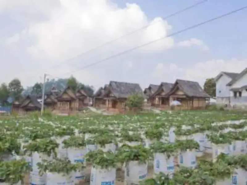 Сореанг: Sawung Gawir Restaurant and Bungalow Ciwidey