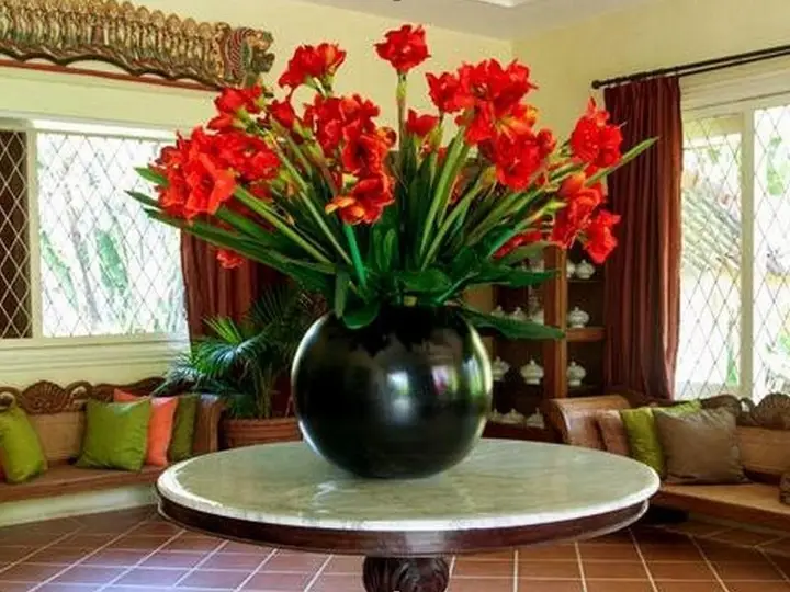 Маланг: Gladiola Guest House