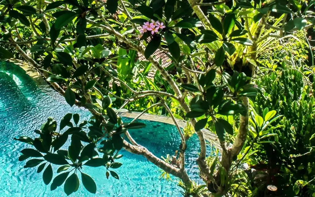 Убуд: Villa Madu Ubud