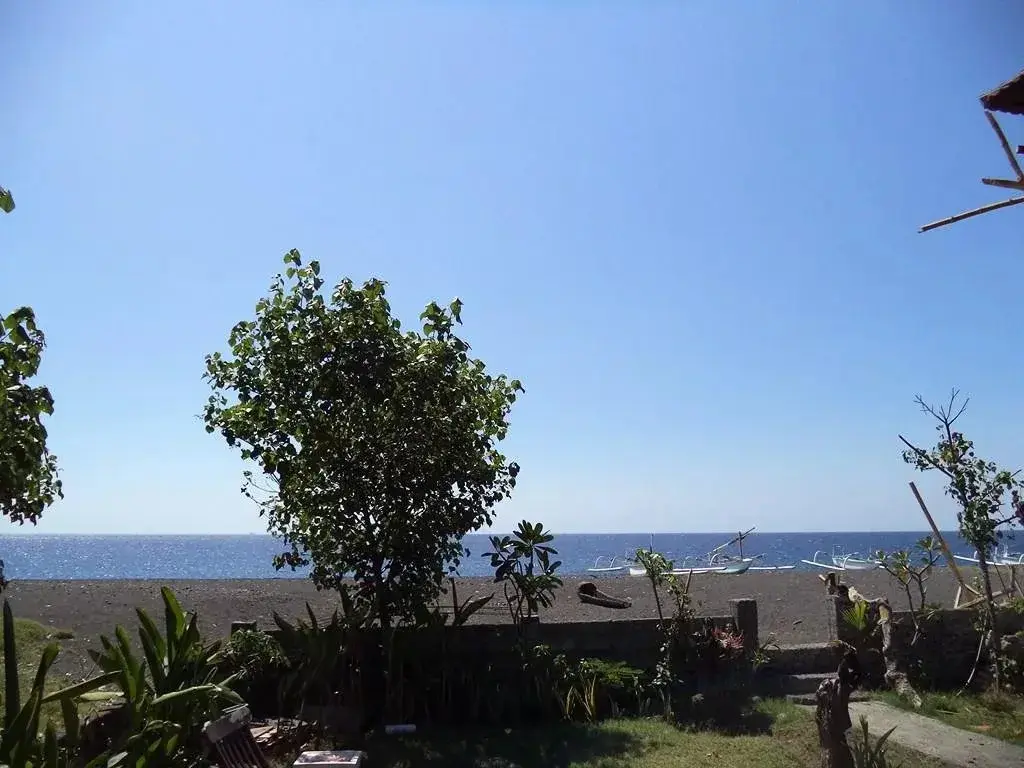 Пурвакерти: Kadek Homestay Amed