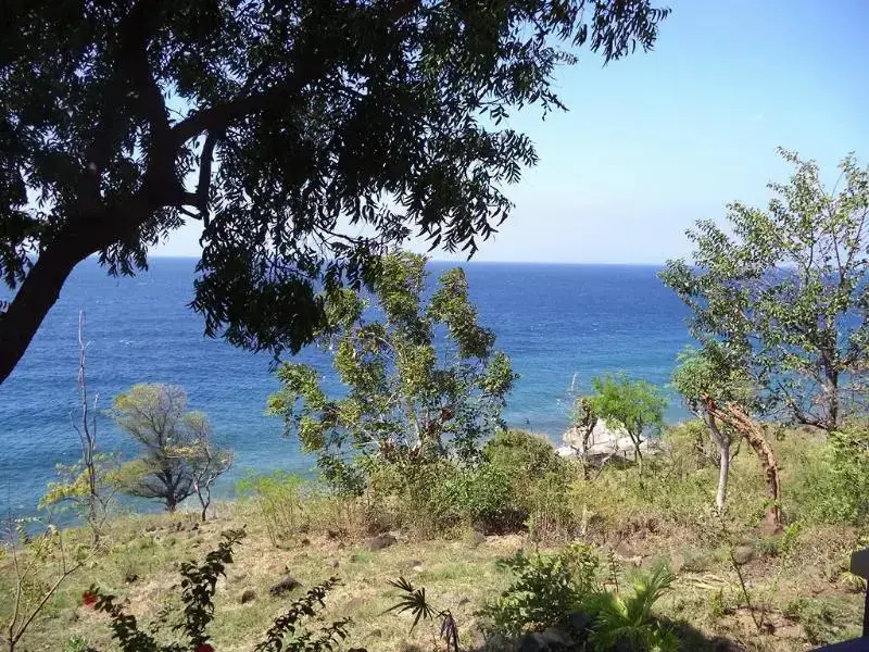 Бунутан: Nyoman Abing Bungalow
