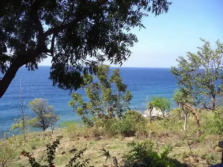 Бунутан: Nyoman Abing Bungalow