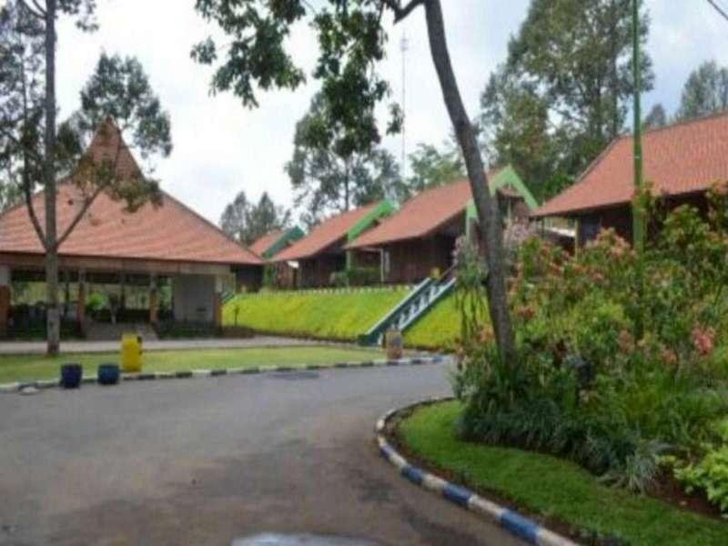 Надисари: Bhakti Alam Guest House