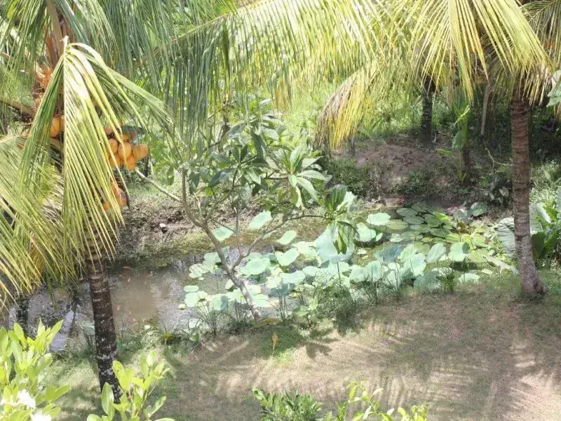 Убуд: Sanjaya Home Stay