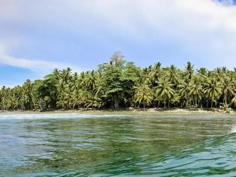 Мендойо: Dikaloha Surfcamp Bali