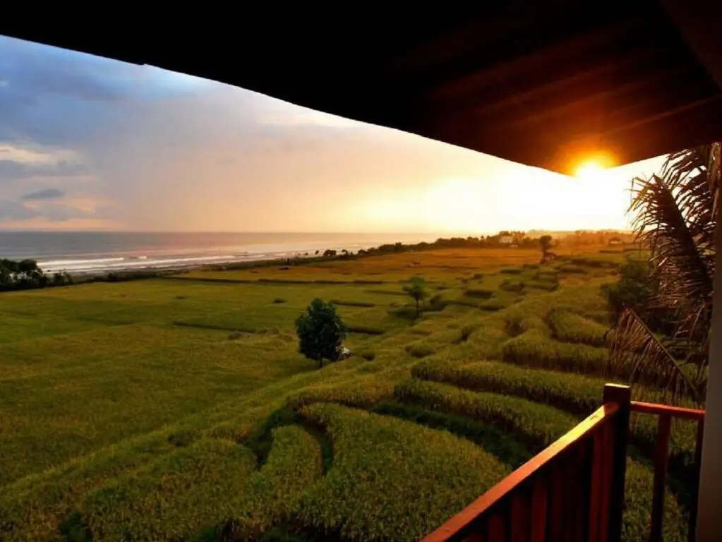 Мендойо: Dikaloha Surfcamp Bali