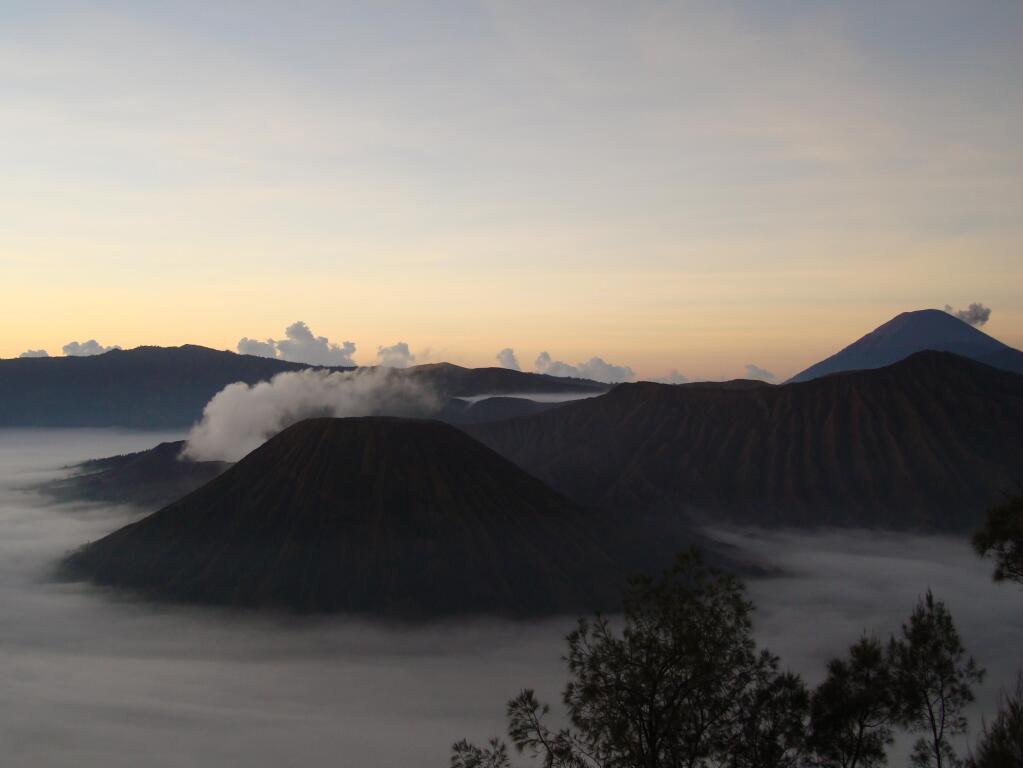 Надисари: Yog Bromo Homestay