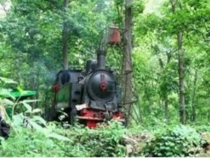 Блора: Homestay Simpang Tujuh