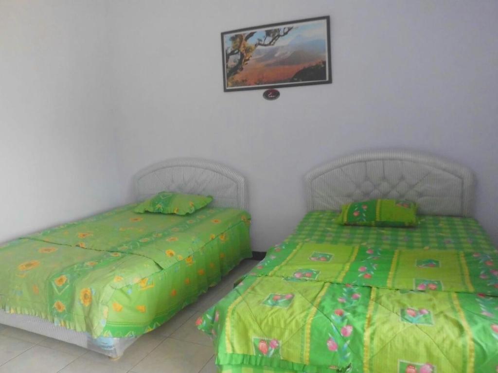 Надисари: Hotel Nadia Bromo
