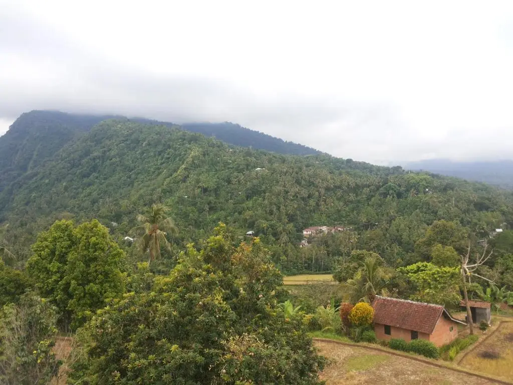 Саван: ESA di Kubu Homestay