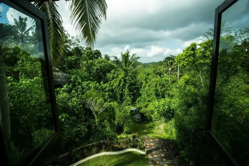 Убуд: Bucu Beji Ubud