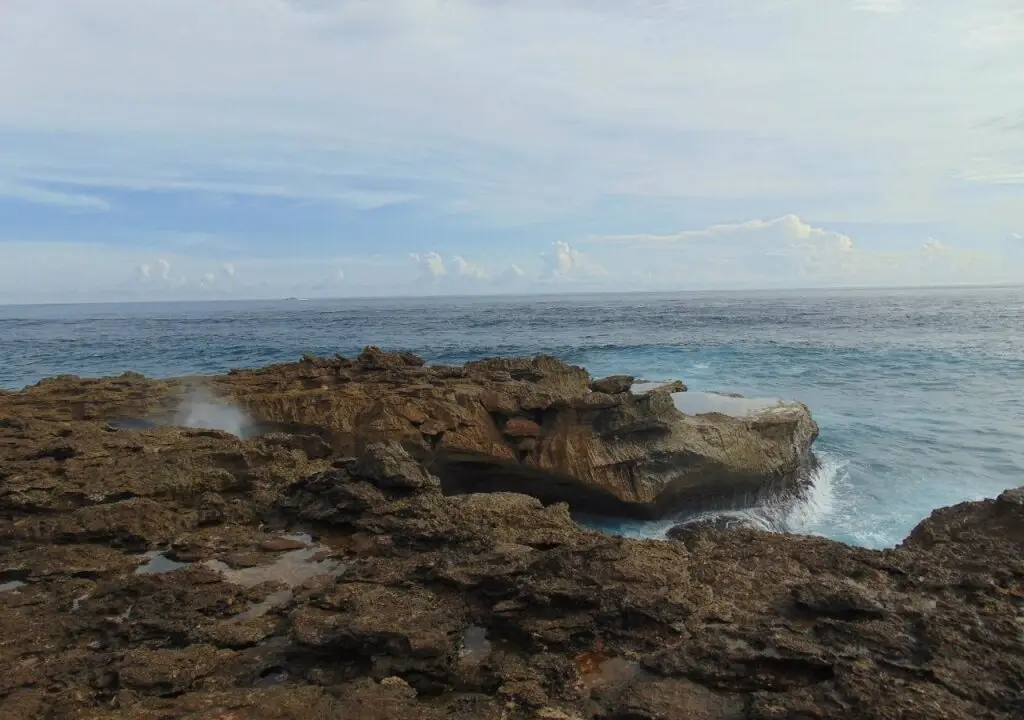Лембонган-Айленд: Starfish Lembongan