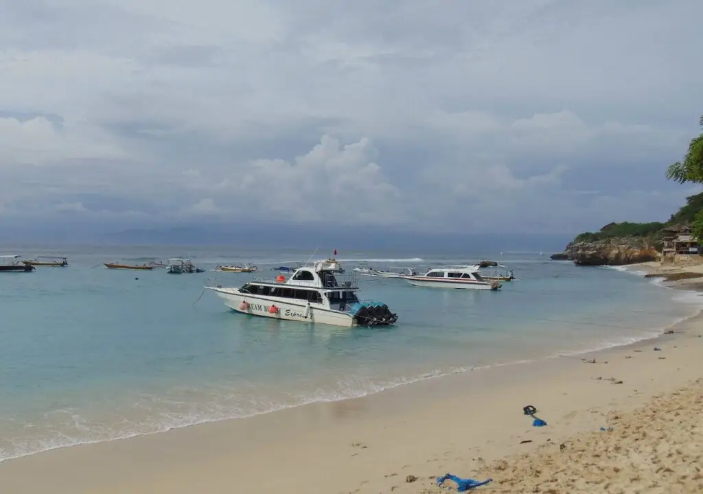 Лембонган-Айленд: Starfish Lembongan