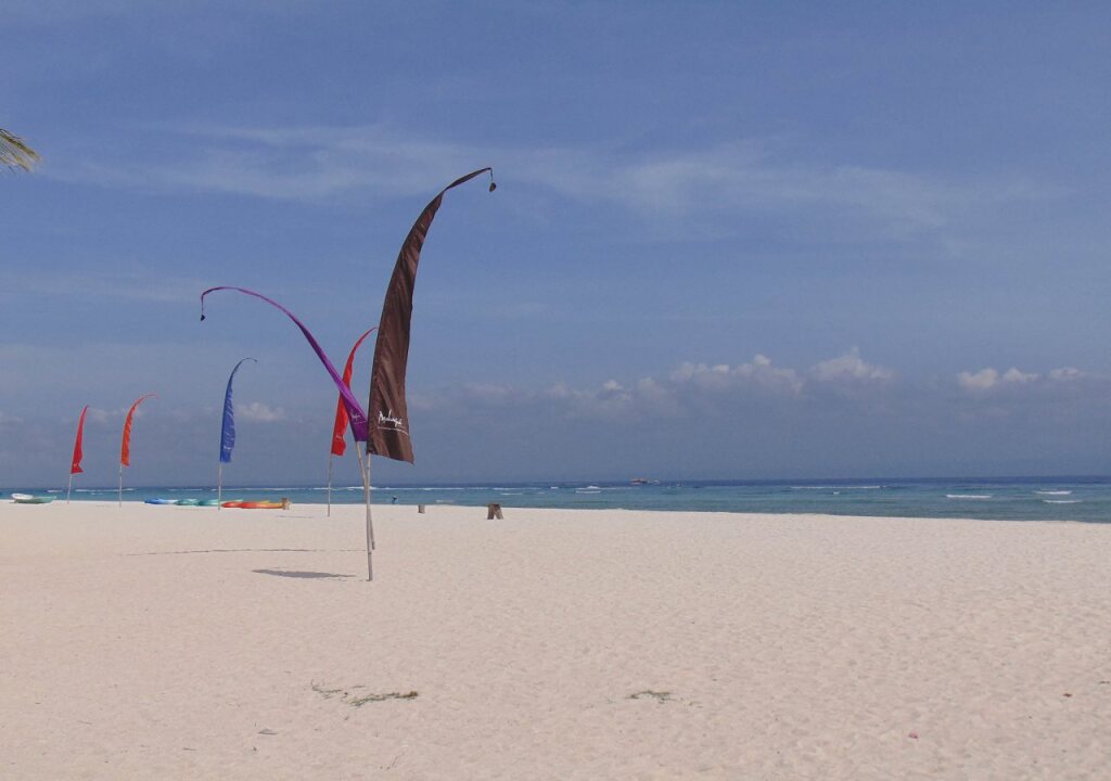 Лембонган-Айленд: Starfish Lembongan