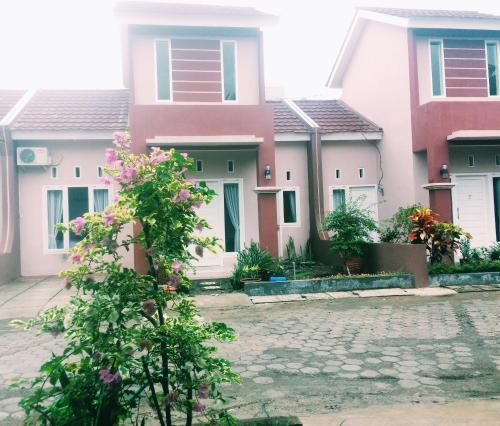 Radja Guest House — фото 1