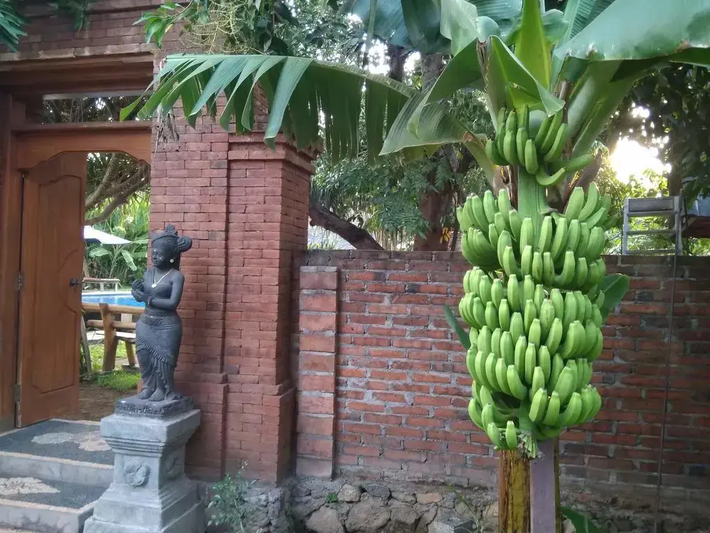 Пемутеран: Suka Sari Cottages Pemuteran