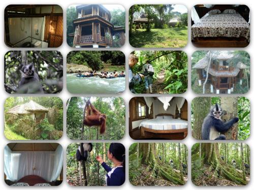 Букит Лаванг: Bukit Menday Guest House
