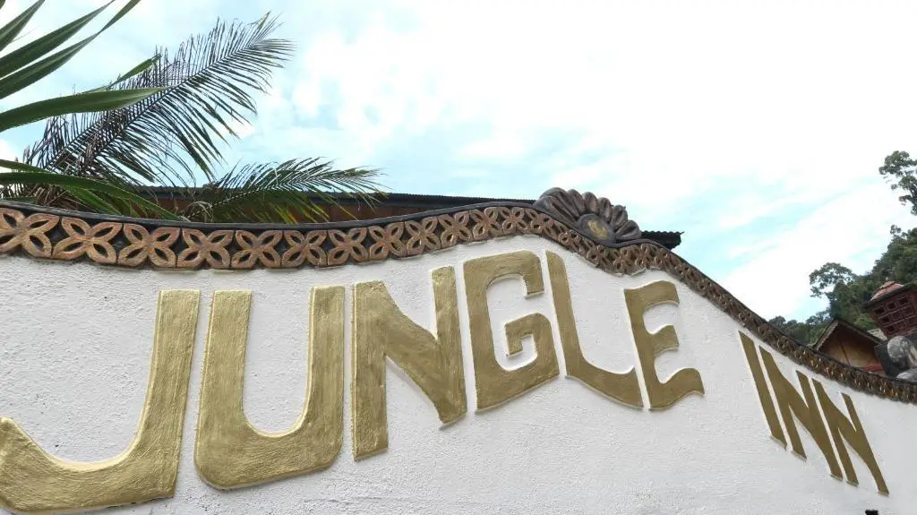 Jungle Inn — фото 1