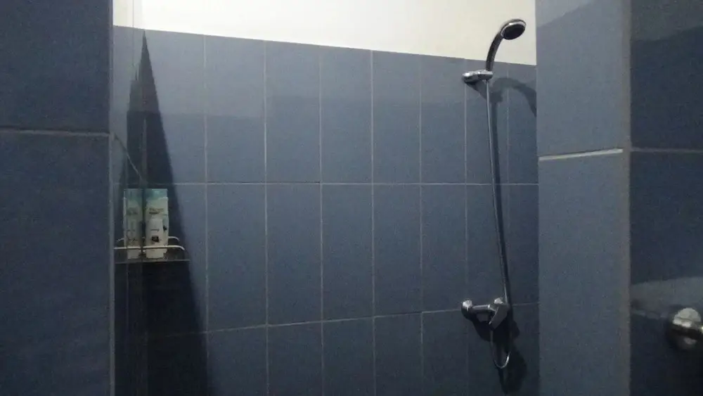 Саван: Lotus Guesthouse