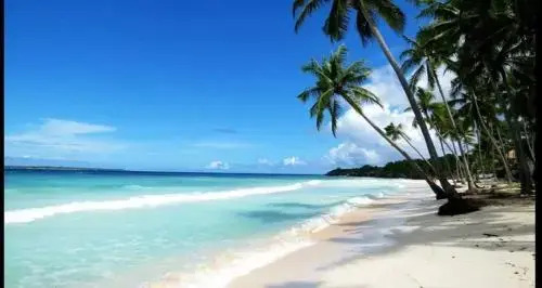 Бира: Nini`s Beach Bungalows