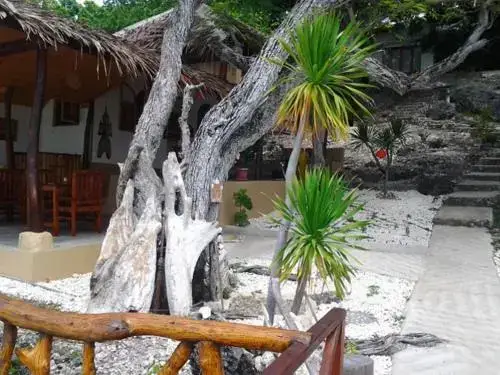 Бира: Nini`s Beach Bungalows