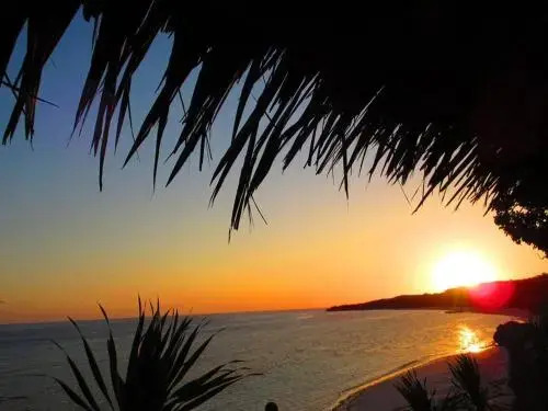 Бира: Nini`s Beach Bungalows