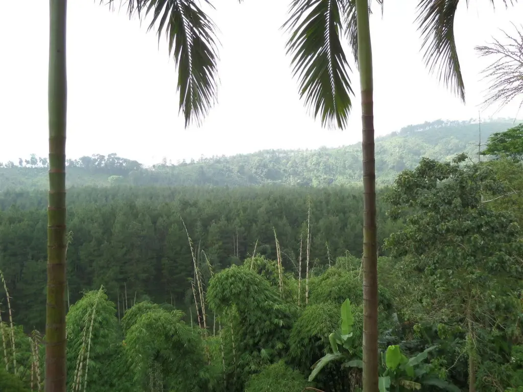 Надисари: Sukapura Permai Hotel