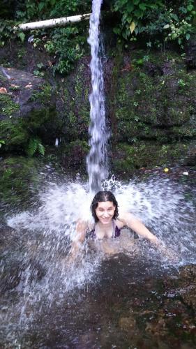 Jerowaru: Green House Lombok