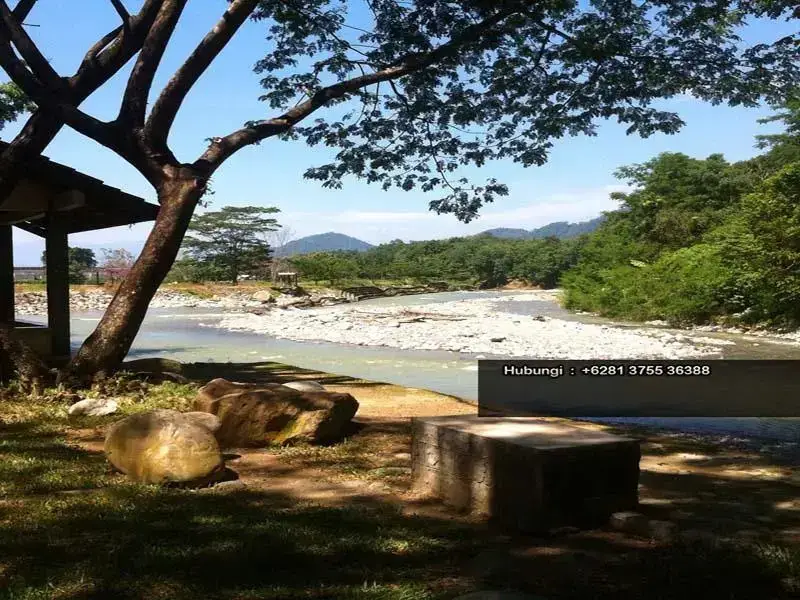 Букит Лаванг: Rindu Alam Hotel Bukit Lawang