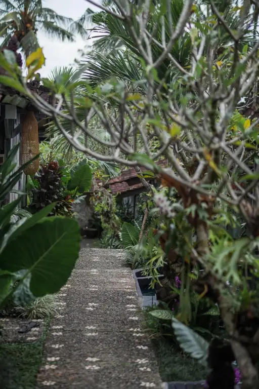 Убуд: Ngurah Hostel Ubud