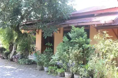 Белитунг: Wisma Pagar Alam