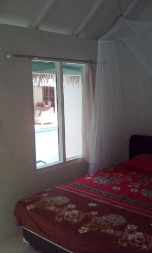 Джимбаран: Carlyn Guesthouse