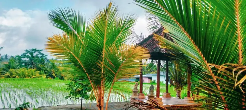 Убуд: Srijaya Ubud