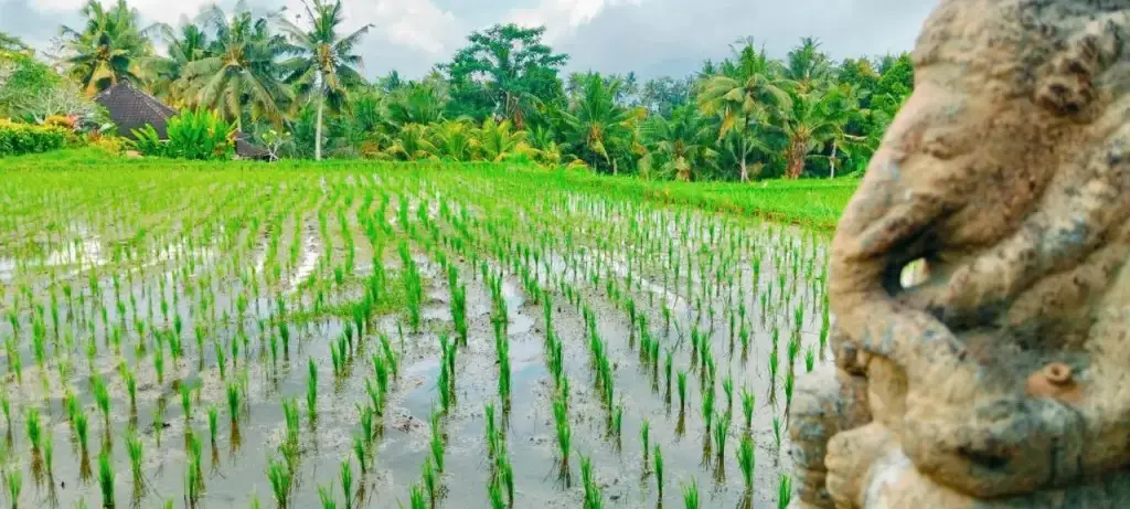 Убуд: Srijaya Ubud