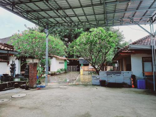 Кута: Pandu Homestay Lombok