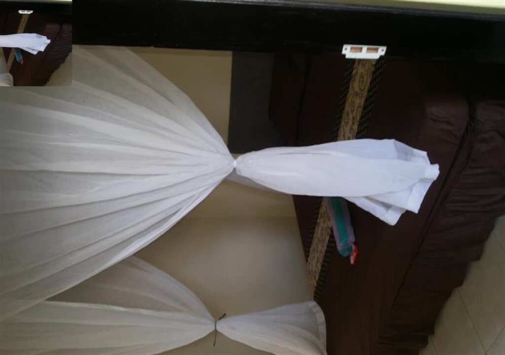 Темукус: Van Dhika Guest House Bali