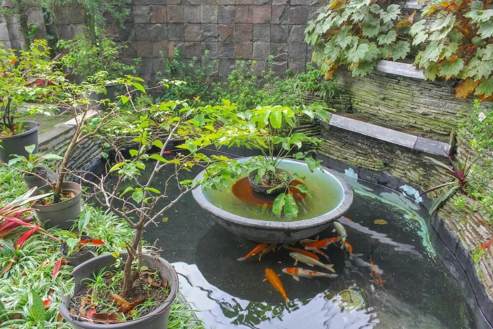 Бандунг: Airy Sukajadi 169 Bandung