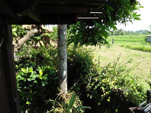 Убуд: Majapahit Guest House Ubud